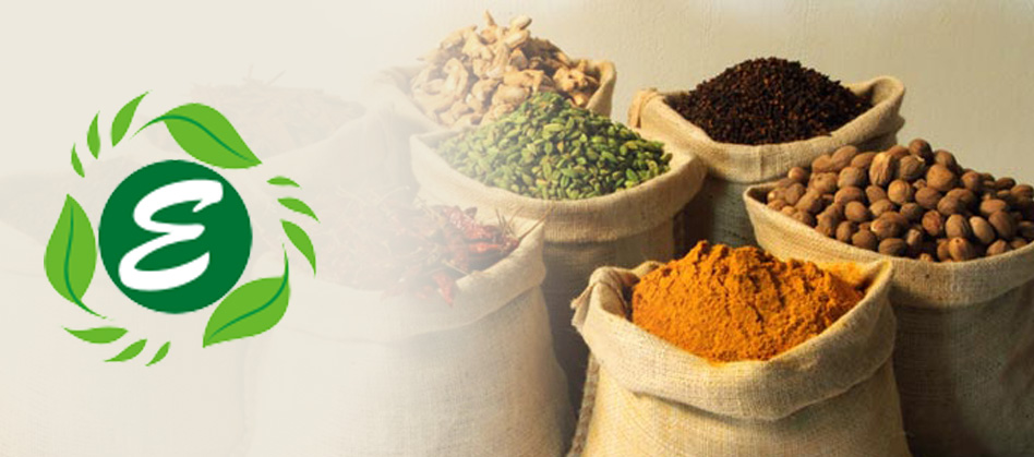 Exporters in Indian Spices